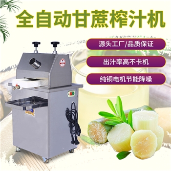商用电动甘蔗榨汁机全自动家用小型台式不锈钢甘蔗机压榨机定制